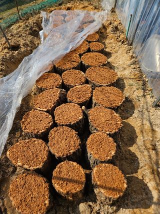 신신기루님의 기타작물 · 영농일지 작성글 사진