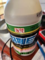 팜모닝 딸기·영농일지 게시글 이미지