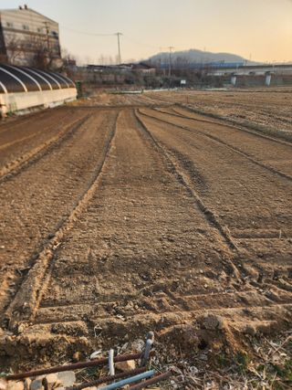  청계유정란 박진균님의 감자 · 영농일지 작성글 사진