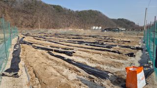  조약돌님의 콩 · 영농일지 작성글 사진