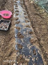 팜모닝 감자·영농일지 게시글 이미지