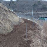 팜모닝 기타작물·영농일지 게시글 이미지