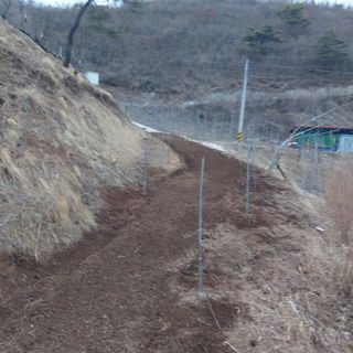 가로수님의 기타작물 · 영농일지 작성글 사진