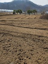 팜모닝 감자·영농일지 게시글 이미지