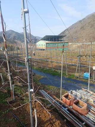 보공(김대호)님의 기타작물 · 영농일지 작성글 사진