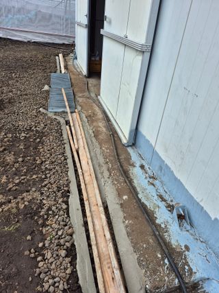 송창언님의 기타작물 · 영농일지 작성글 사진