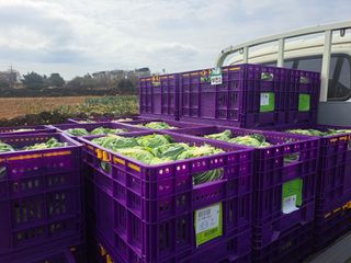 한림한경님의 파 · 영농일지 작성글 사진