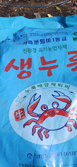 보물섬남자님의 귤 · 영농일지 작성글 사진