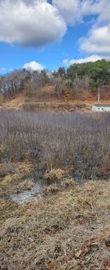 팜모닝 기타작물·영농일지 게시글 이미지