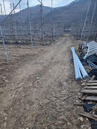 홍1237님의 사과 · 영농일지 작성글 사진