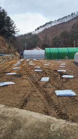 팜모닝 고추·영농일지 게시글 이미지