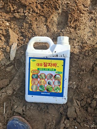 건강한먹거리님의 기타작물 · 영농일지 작성글 사진