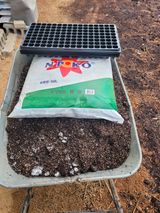 팜모닝 옥수수·영농일지 게시글 이미지