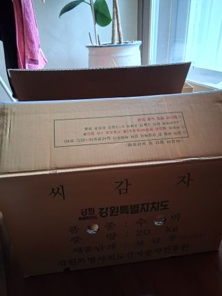 최한기님의 감자 · 영농일지 작성글 사진