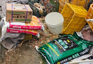 수랏간 농원 안승호님의 고추 · 영농일지 작성글 사진