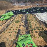 팜모닝 기타작물·영농일지 게시글 이미지