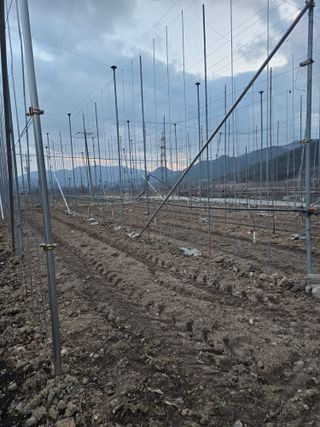 홍1237님의 사과 · 영농일지 작성글 사진