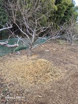 팜모닝 감·영농일지 게시글 이미지