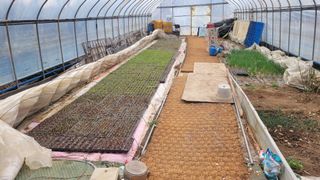 양파7337님의 고추 · 영농일지 작성글 사진