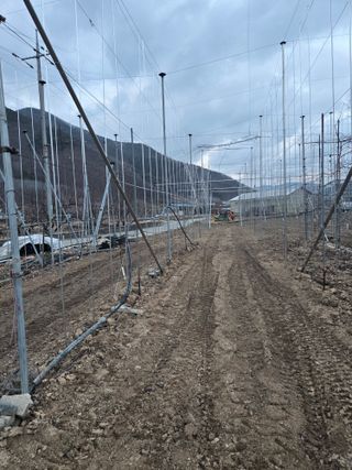 홍1237님의 사과 · 영농일지 작성글 사진