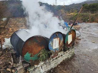 박사도사님의 감 · 영농일지 작성글 사진