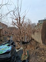 딸기17376님의 작성글 사진