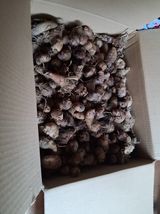 팜모닝 감자·영농일지 게시글 이미지