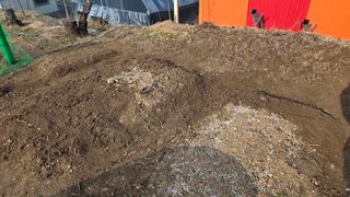 가야산아래촌농님의 기타작물 · 영농일지 작성글 사진