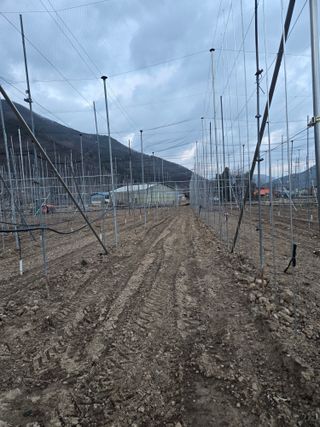 홍1237님의 사과 · 영농일지 작성글 사진