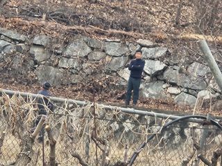 최상길 님의 마늘 · 영농일지 작성글 사진