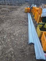 팜모닝 사과·영농일지 게시글 이미지