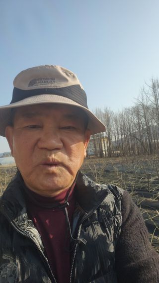 정헌경님의 매실 · 영농일지 작성글 사진