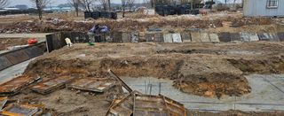 대파13439님의 기타작물 · 영농일지 작성글 사진