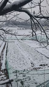 bpjh9173님의 작성글 사진