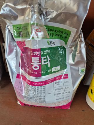 하야비치님의 마늘 · 영농일지 작성글 사진