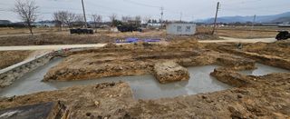 대파13439님의 기타작물 · 영농일지 작성글 사진