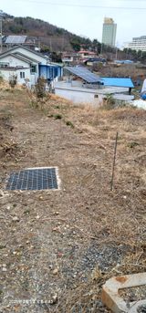 팜모닝 기타작물·영농일지 게시글 이미지