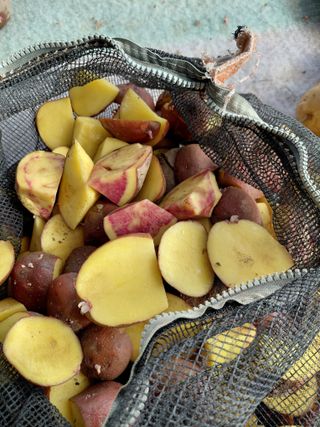 좋은인연원님의 감자 · 영농일지 작성글 사진