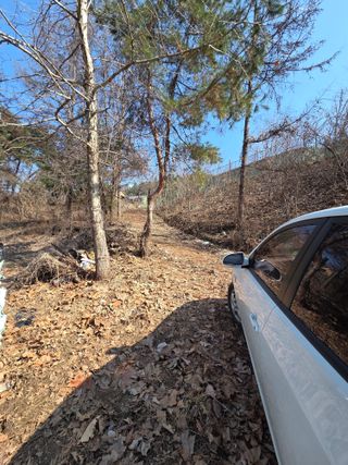 블루베리8034님의 기타작물 · 영농일지 작성글 사진