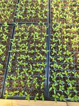 이상욱님의 작성글 사진