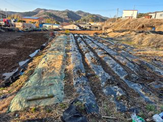 이준영님의 기타작물 · 영농일지 작성글 사진