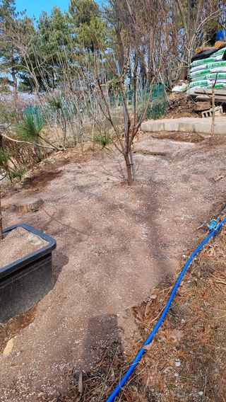 권혁렬님의 참깨 · 영농일지 작성글 사진