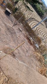 권혁렬님의 작성글 사진