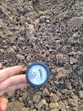 이한재님의 고추 · 영농일지 작성글 사진