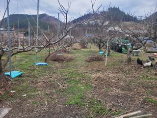 종이학님의 기타작물 · 영농일지 작성글 사진