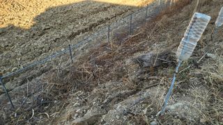 괴동조합장님의 기타작물 · 영농일지 작성글 사진