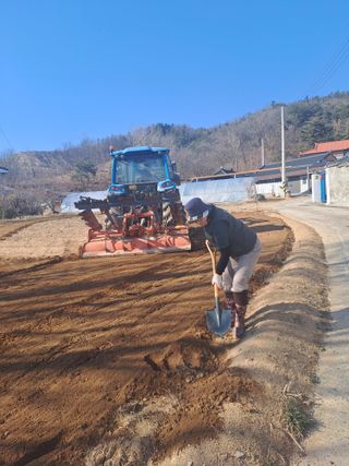 대파15425님의 기타작물 · 영농일지 작성글 사진