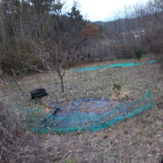 김건우님의 기타작물 · 영농일지 작성글 사진