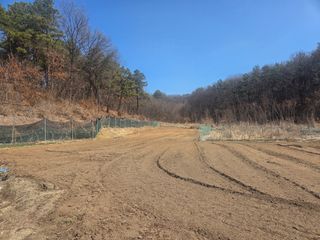 장두학님의 기타작물 · 영농일지 작성글 사진