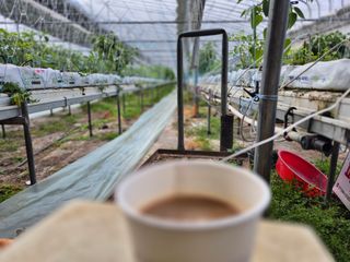 늘햇살팜 님의 기타작물 · 영농일지 작성글 사진